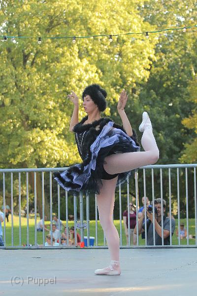 T-20160827-165154_IMG_3017-7.JPG