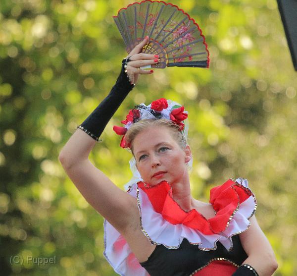 T-20160827-165418_IMG_3217-7a.jpg