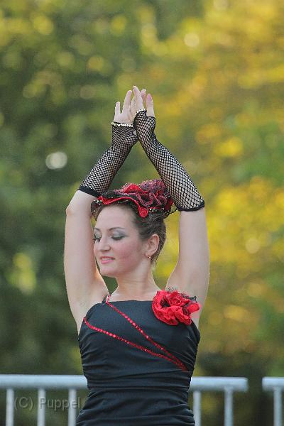 T-20160827-165833_IMG_3377-7.JPG