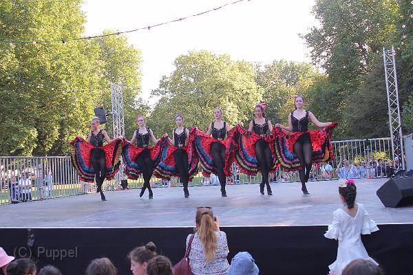 T-20160827-170302_IMG_0376-6.JPG