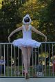 T-20160827-164808_IMG_2850-7