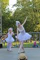 T-20160827-164907_IMG_2894-7
