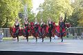 T-20160827-170507_IMG_3748-7