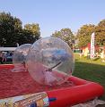T-20160827-172039_IMG_0471-6a