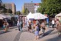 T-20160827-172422_IMG_0481-6
