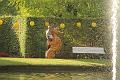T-20160904-174716_IMG_9875-7