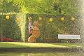 T-20160904-174719_IMG_9883-7