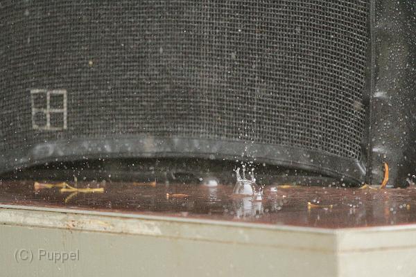 T-20160904-154117_IMG_9051-7.JPG