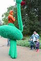 T-20160904-165856_IMG_0881-6