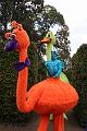 T-20160904-170117_IMG_0912-6