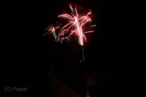 T-20160904-221617_IMG_1356-7.JPG