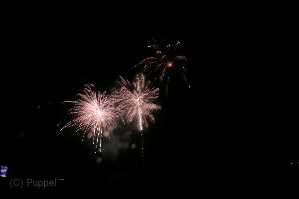 T-20160904-222142_IMG_1448-7.JPG