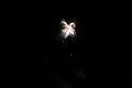 T-20160904-221644_IMG_1363-7
