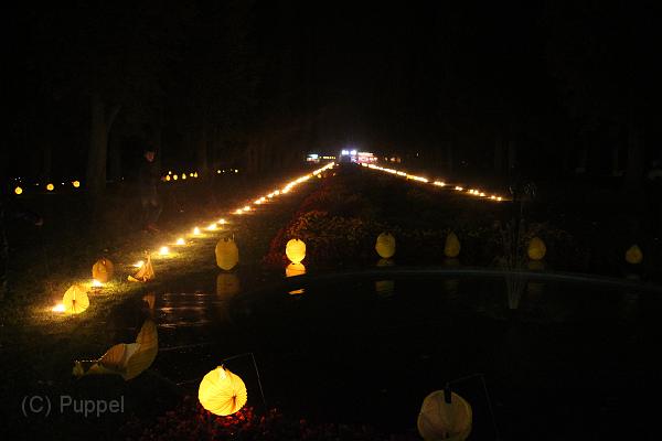 T-20160904-224114_IMG_1373-6.JPG