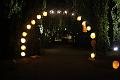 T-20160904-223933_IMG_1353-6