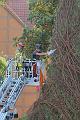 T-20160915-154930_IMG_4728-7