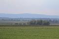 T-20160923-154828_IMG_5454-7-N