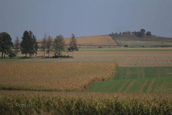 T-20160925-125536_IMG_9220-7.JPG