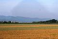 T-20160925-093740_IMG_8995-7a