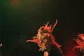 T-20161001-153949_IMG_1423-7