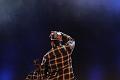 T-20161001-161457_IMG_3987-7