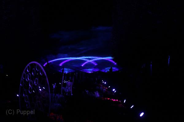 T-20161002-195944_IMG_6200-7.JPG