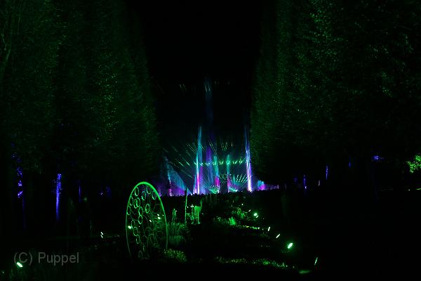 T-20161002-200224_IMG_6349-7.JPG