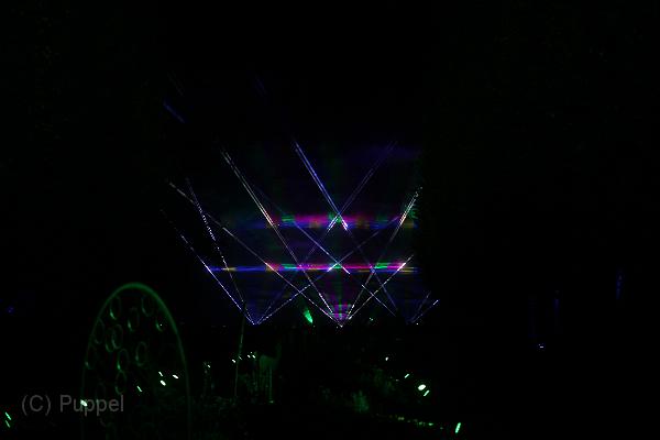 T-20161002-200254_IMG_6380-7.JPG