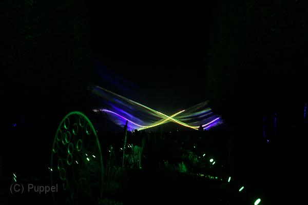 T-20161002-200316_IMG_6411-7.JPG