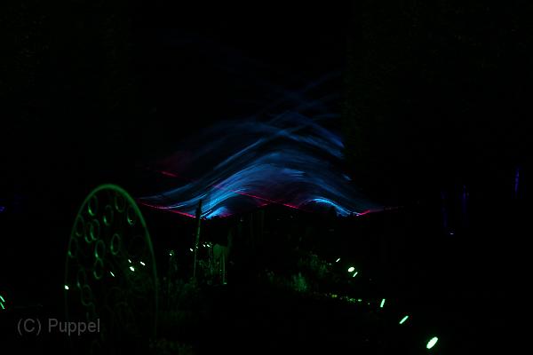 T-20161002-200328_IMG_6441-7.JPG
