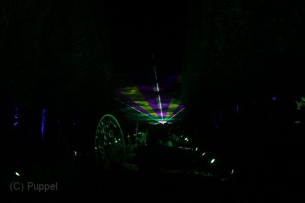 T-20161002-200338_IMG_6452-7.JPG
