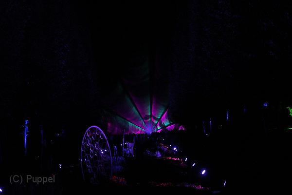 T-20161002-200558_IMG_6541-7.JPG