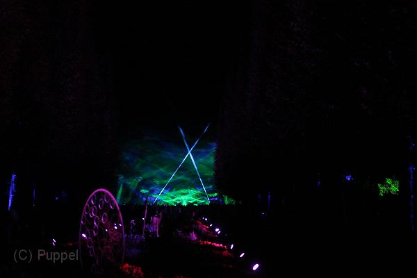 T-20161002-200756_IMG_6617-7.JPG