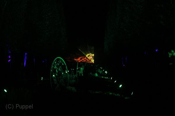 T-20161002-201014_IMG_6669-7.JPG
