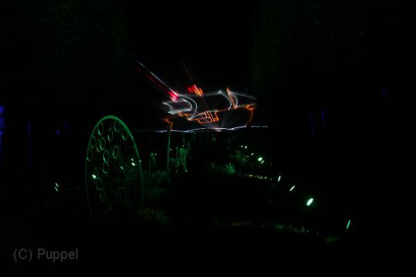 T-20161002-201152_IMG_6738-7.JPG
