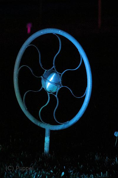 T-20161002-201706_IMG_6818-7.JPG