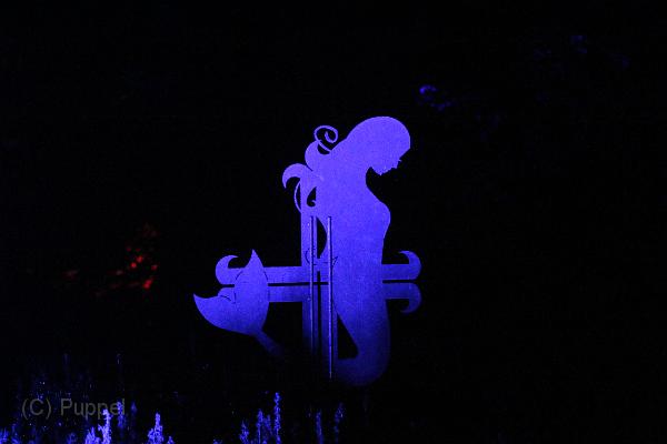 T-20161002-202334_IMG_6909-7.JPG