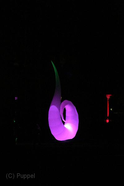T-20161002-202600_IMG_6938-7.JPG