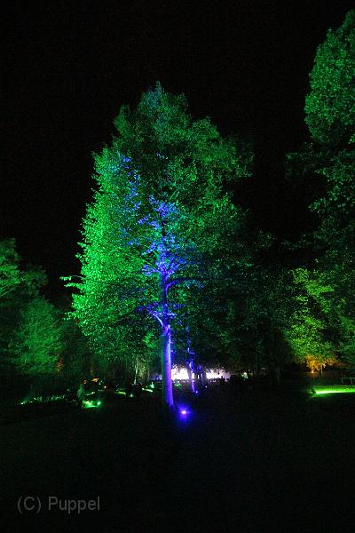 T-20161002-202754_IMG_0106-6.JPG