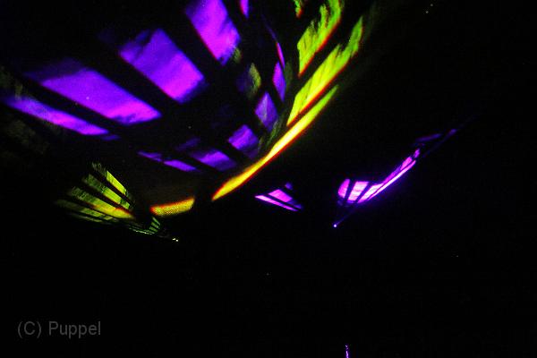 T-20161002-205026_IMG_6977-7.JPG
