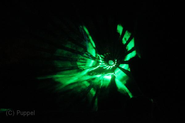 T-20161002-205304_IMG_0781-6.JPG