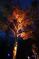 T-20161002-193718_IMG_0029-6