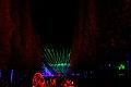 T-20161002-200858_IMG_6640-7