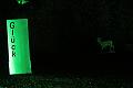 T-20161002-202416_IMG_6917-7