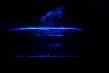 T-20161002-213146_IMG_1223-6