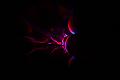 T-20161002-213424_IMG_1601-6
