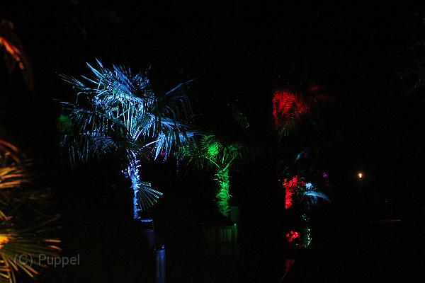 T-20161002-224546_IMG_7500-7.JPG