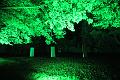 T-20161002-202536_IMG_0096-6