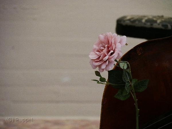 P1070871.JPG
