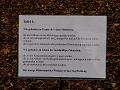 P1350554_P1350307